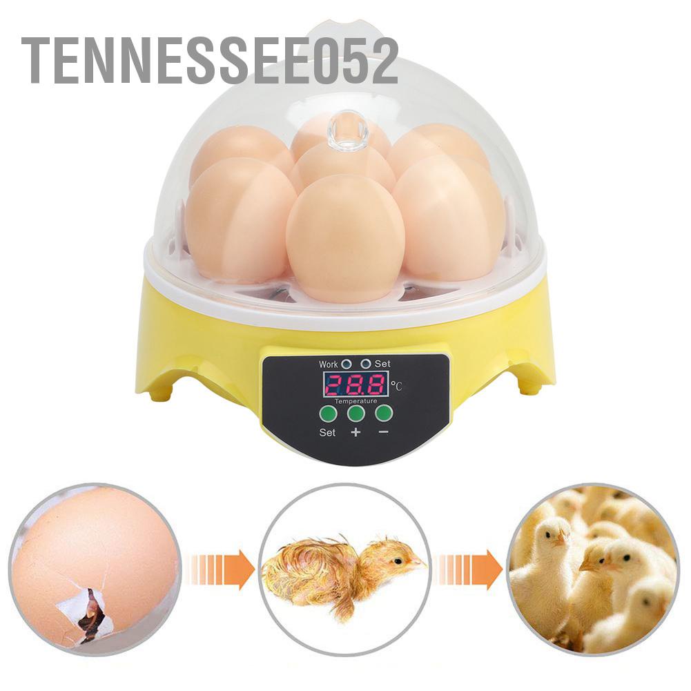 Tennessee052 7 trứng Nhà thông minh Gà vịt Vịt tự động hoàn toàn kiểm soát nhiệt độ ấp