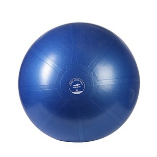 Bóng tập cát Yoga cao cấp SHUA 65cm - Tặng kèm bơm bóng và phụ kiện