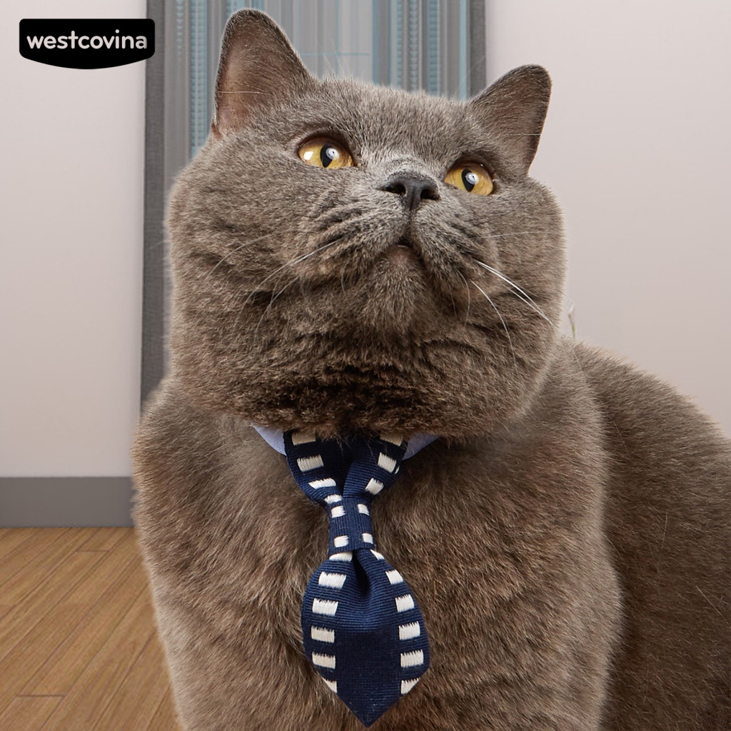 Vòng Cổ Mềm Mại Trơn Màu Trang Trí Đáng Yêu Cho Thú Cưng