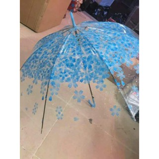 Ô trong suốt hoa văn 3D
