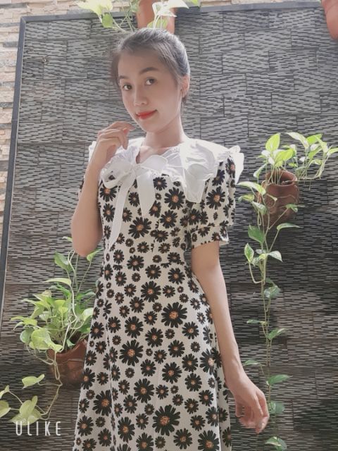 Đầm rộng hoa cúc [Mua 2 giảm 10%] thủy thủ hot trend 2020 | BigBuy360 - bigbuy360.vn
