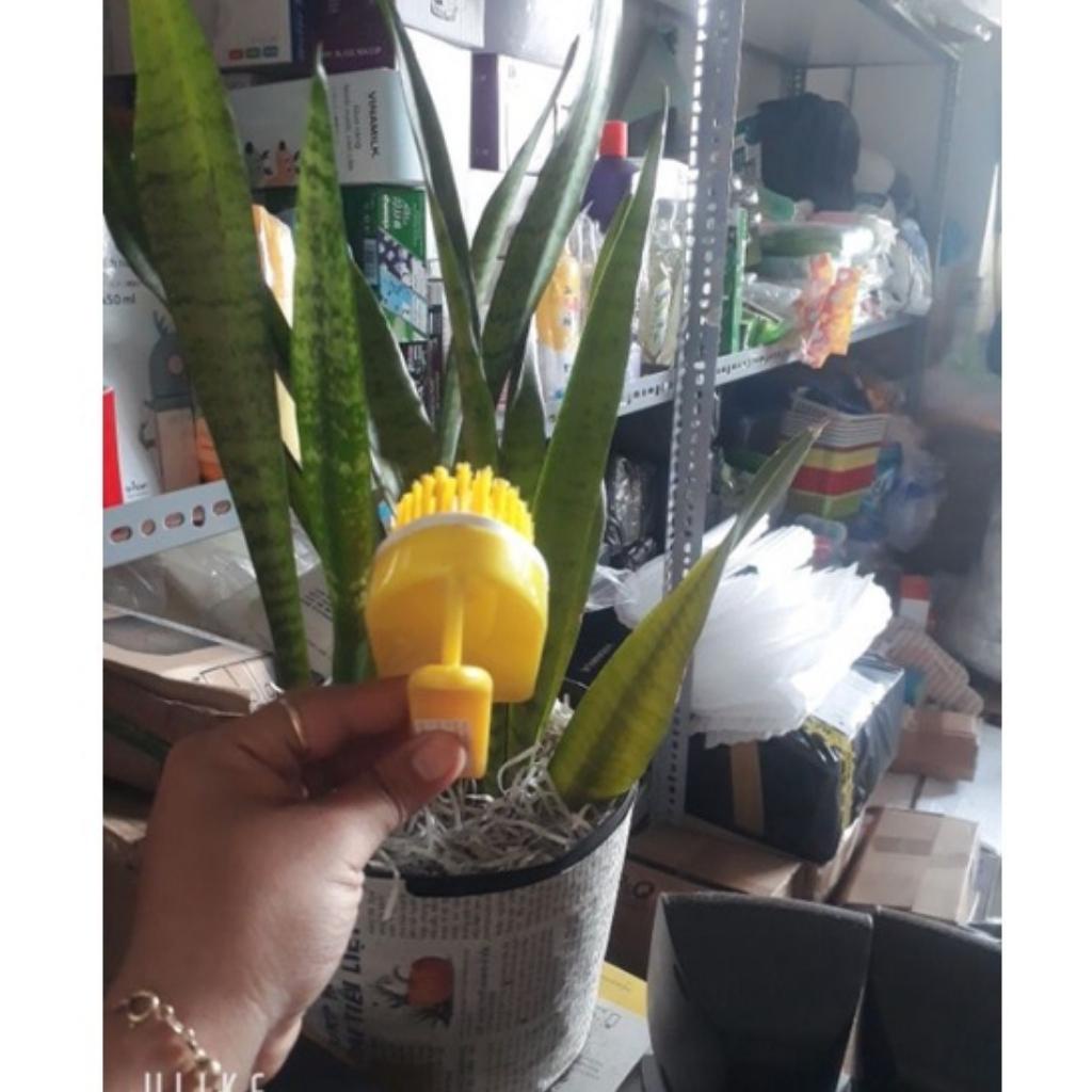 Bàn chải nhựa có tay cầm đa năng tiện dụng lông mềm