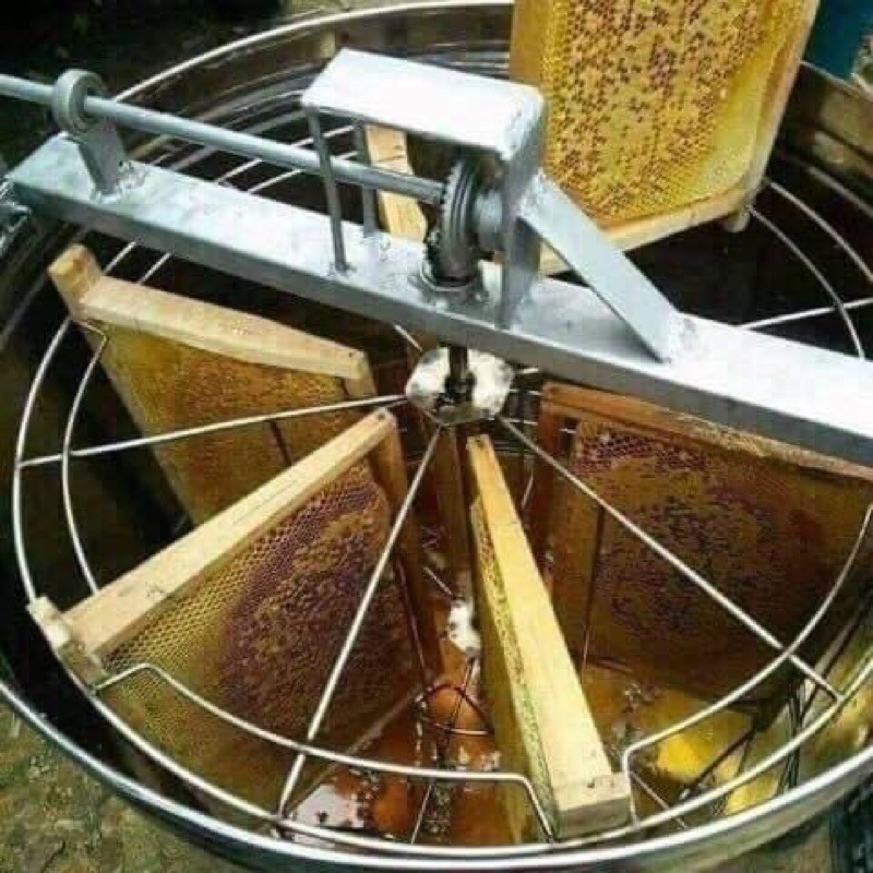 Mật ông hoa cà phê nguyên chất daklak