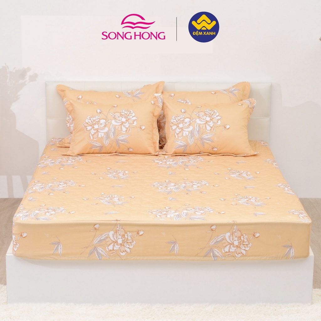 Bộ ga gối Sông Hồng Basic cotton BC22066
