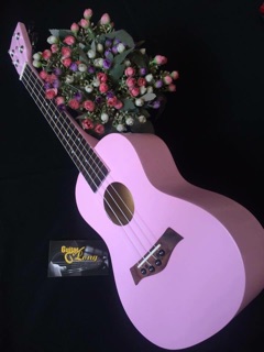 Đàn ukulele Concert