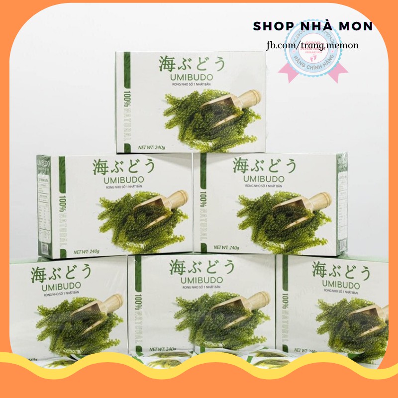 Rong nho Umibudo | BigBuy360 - bigbuy360.vn