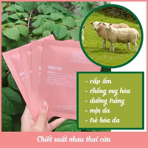 Mặt nạ nhau thai cừu Nhật Bản, Mặt Nạ Rwine Beauty Stem Cell Placenta Mask Đẹp Da [ CHÍNH HÃNG ]