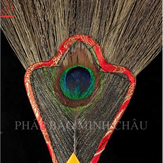 Chổi xái tịnh