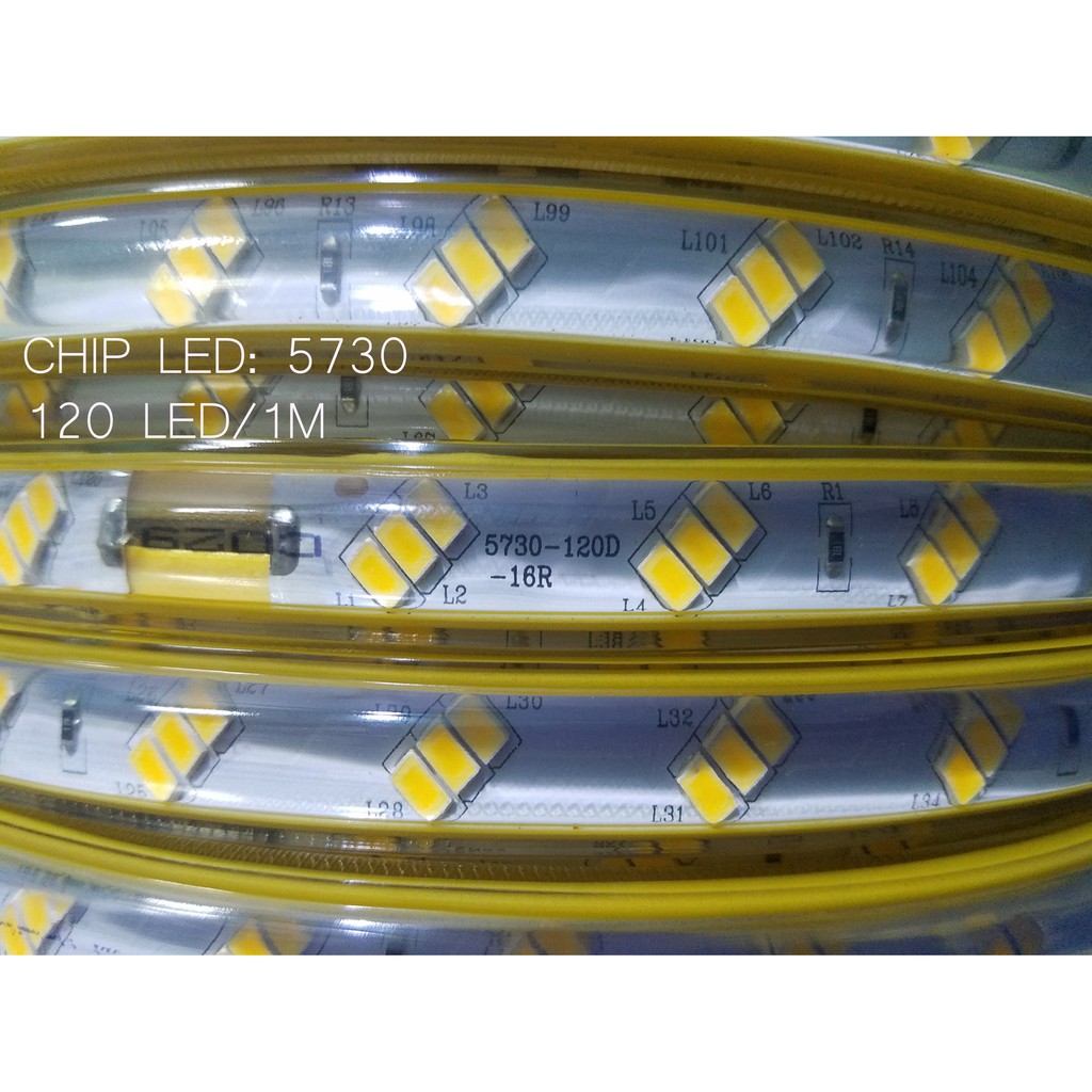 [X-LED] DÂY LED CHẤT LƯỢNG 3 HÀNG CHÉO - CHIP 5730