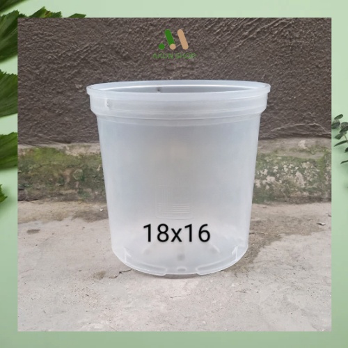 Chậu nhựa cứng tròn trắng trong suốt size lớn trồng cây kiểng lá 18x16 Thakico giá xưởng