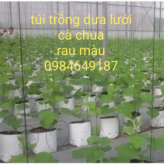 Bộ 20 túi trồng PE (R20 x H40) trồng cà chua, ớt, dưa lưới loại day dặn