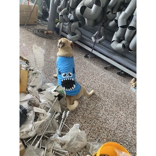 Áo thú cưng siêu dễ thương cute