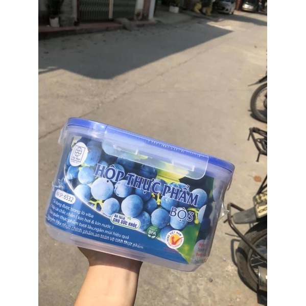 Sét 3 hộp nhựa Việt Nhật bảo quản thực phẩm - có nắp cài