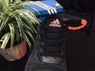 Giầy sneaker nam adidas 2019