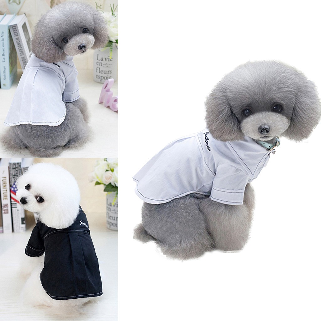 Áo Thun Mùa Hè Cho Thú Cưng