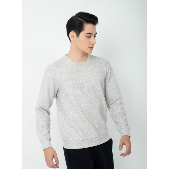 ÁO NỈ NAM DÀI TAY BO GẤU THỜI TRANG ARISTINO ISW002W1