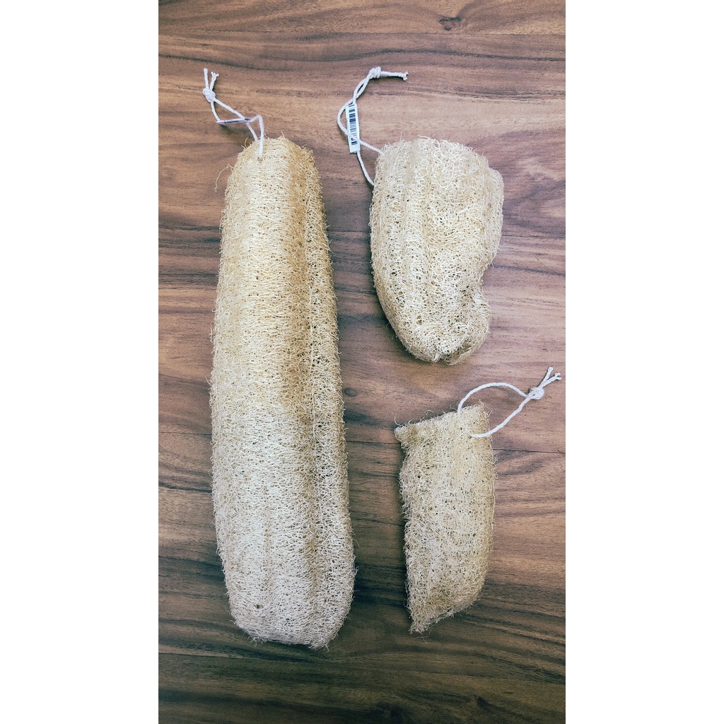 Bông tắm Xơ Mướp A Little Bit dùng tẩy tế bào chết cho da, rửa chén, đa năng, bảo vệ môi trường