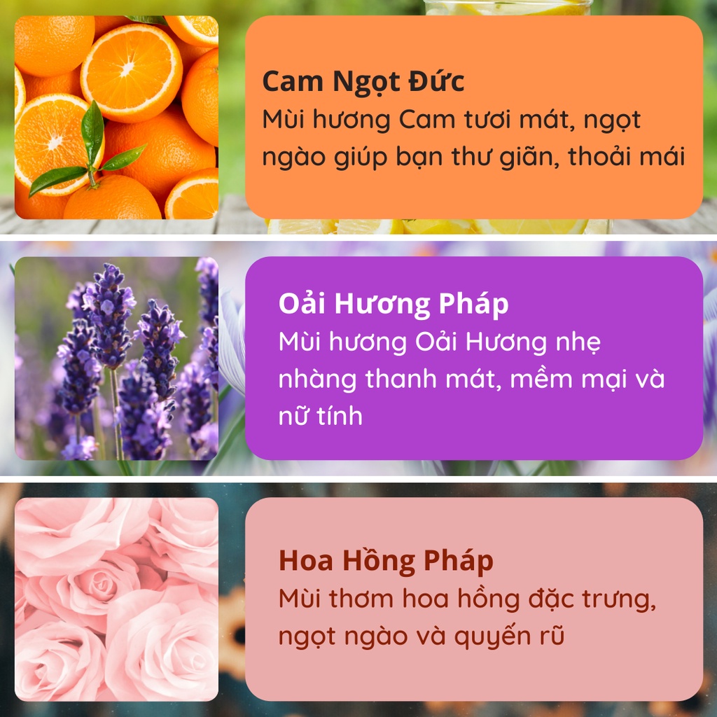 Tinh Dầu Thơm Phòng Lọ Khuếch Tán Nước Hoa Thơm Để Phòng Thiên Nhiên Thơm Phòng Ngủ 100ML KT02