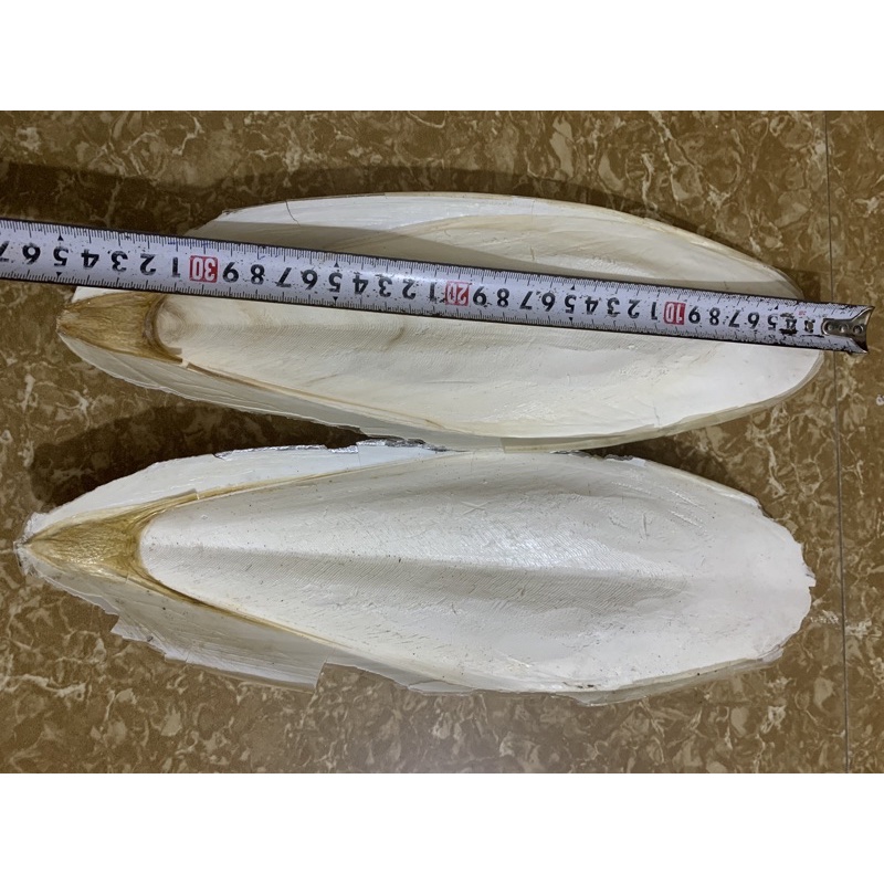 Nang Mực  cho chim. Vẹt, yến hót và các dòng chim finch