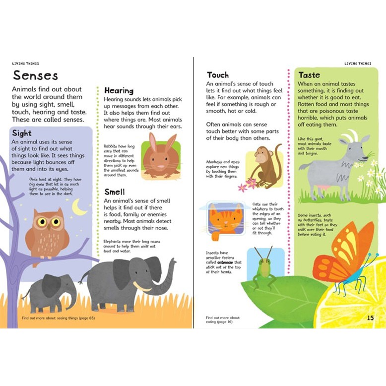 Sách - Junior Illustrated Science Dictionary