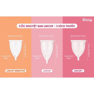 Cốc nguyệt san Lincup