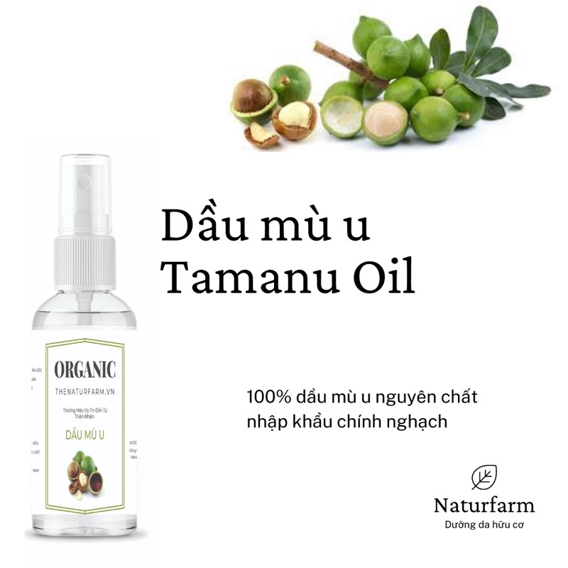 Dầu nền hữu cơ nguyên chất 100ML đa công dụng | WebRaoVat - webraovat.net.vn