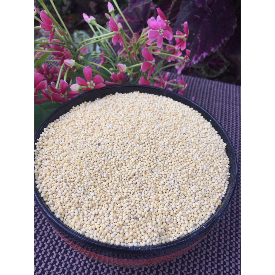 Kê nếp vàng tách vỏ bị 1kg dành cho chim