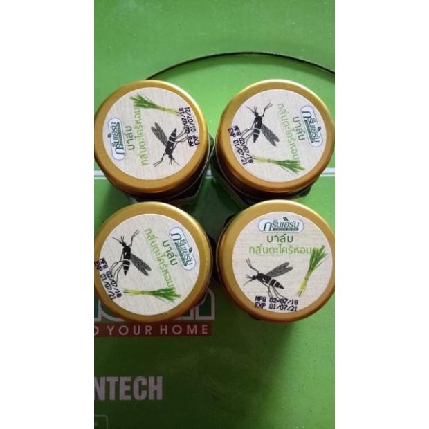 Kem bôi muỗi  đốt thái lan GREEN BALM MOSQUITO