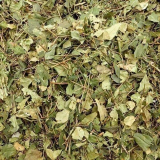 Chè vằng sẻ