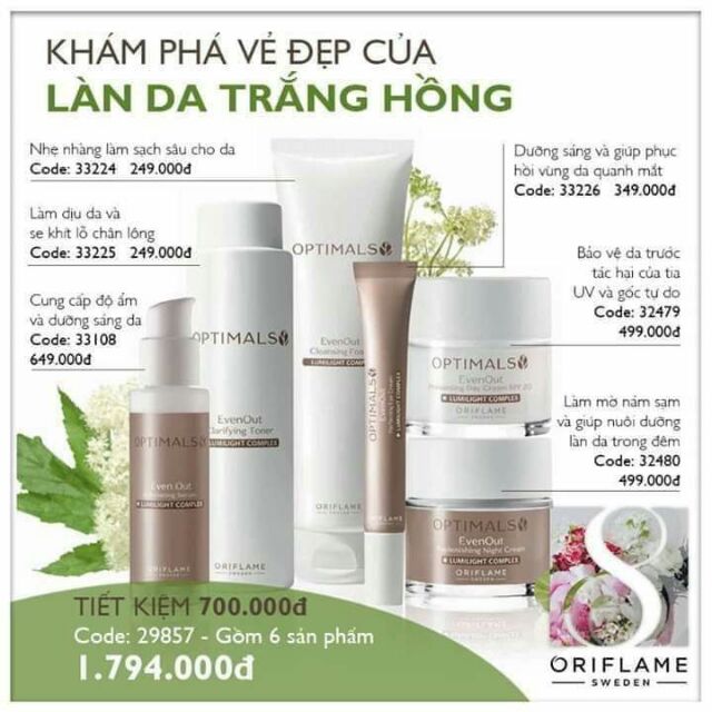 Bộ  nám nâu, (lien  kim)