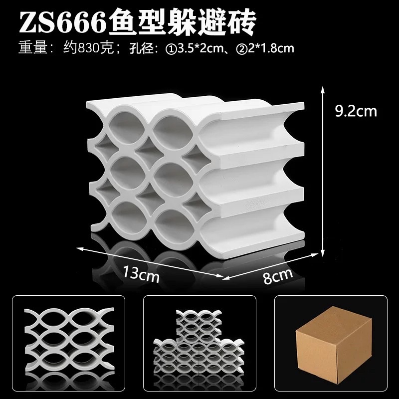 ZS666 hang pleco, cá chuột siêu phẩm