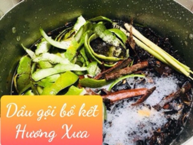 Dầu gội bồ kết thảo dược Hương Xưa sạch gàu, hết ngứa, trị rụng tóc