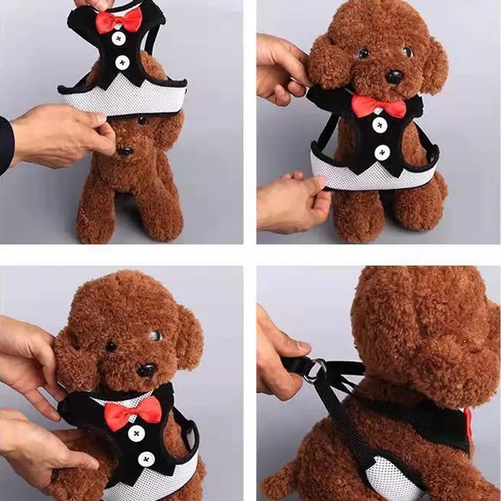 [Mã PET50K giảm Giảm 10% - Tối đa 50K đơn từ 250K] Đai/dây dắt chó mèo đi dạo kèm áo yếm có nơ dễ thương, tiện dụng