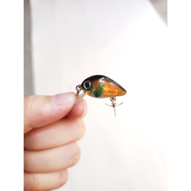 Mồi ruồi 3D - chuyên bắt rô phi,rô ta, chuối, thiểu, ngão,sộp,chim đồ câu FISHING_HD
