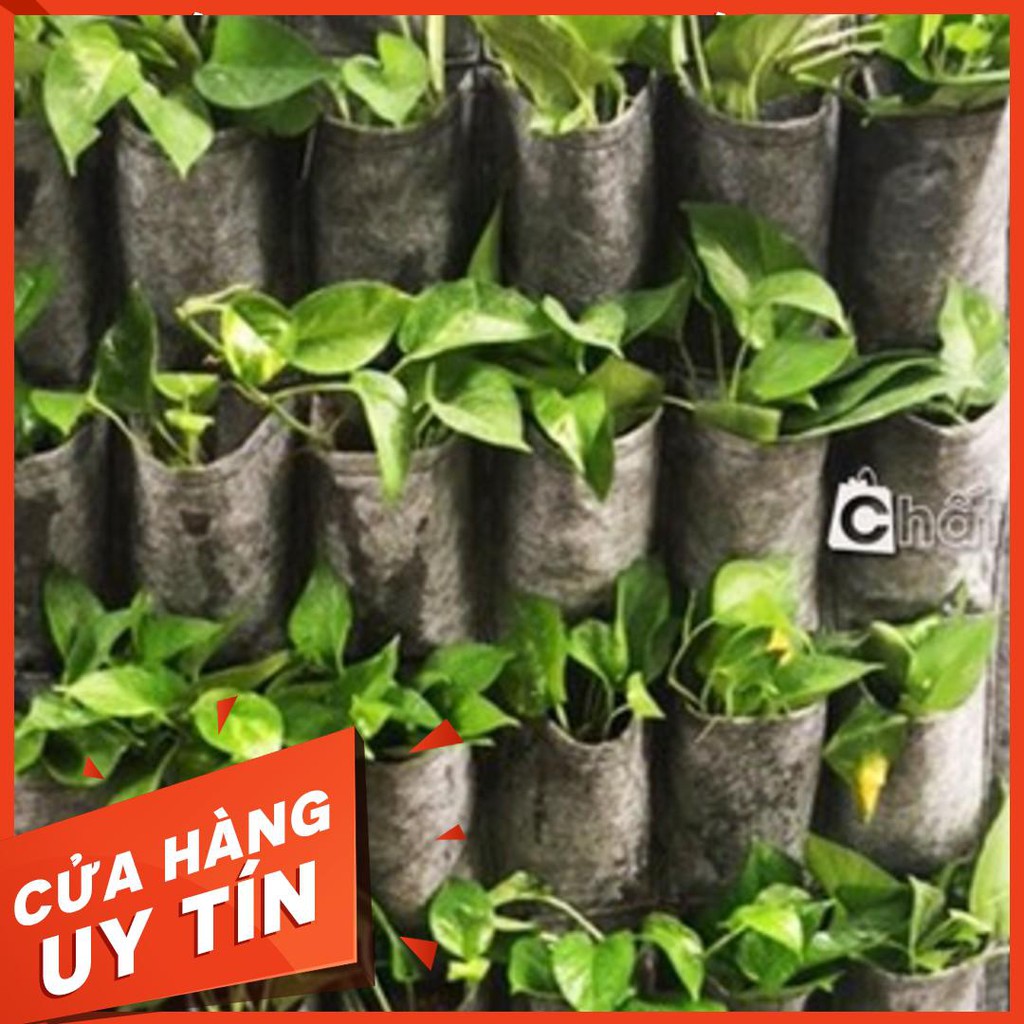 Túi vải trồng rau sạch 20 ngăn treo tường-Túi vải trồng cây treo tường tiện lợi gồm 20 túi trồng (90 x 50cm) Hàng Mới Về