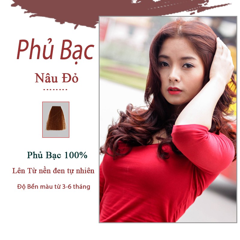 MÀU NHUỘM PHỦ BẠC THỜI TRANG Thuốc nhuộm tóc Phủ Bạc màu thời trang cao cấp