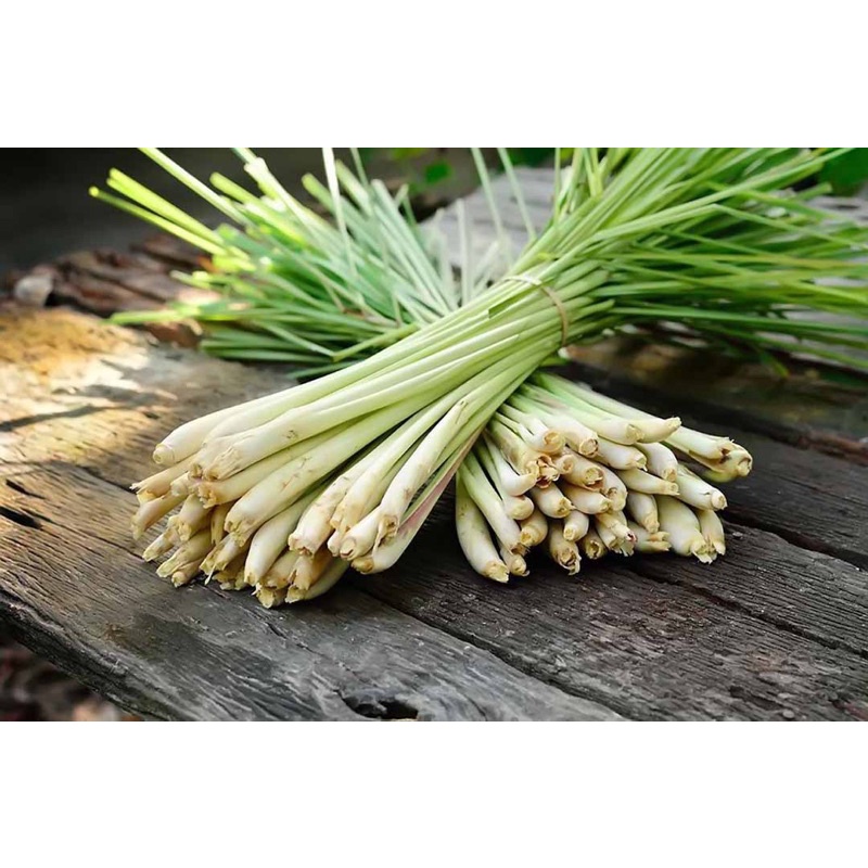 1KG CÂY XẢ  ( CỦ XẢ ) ảnh thật xả của nhà