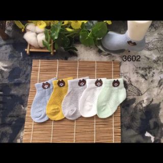 COMBO 5 đôi tất lưới hình gấu cho bé