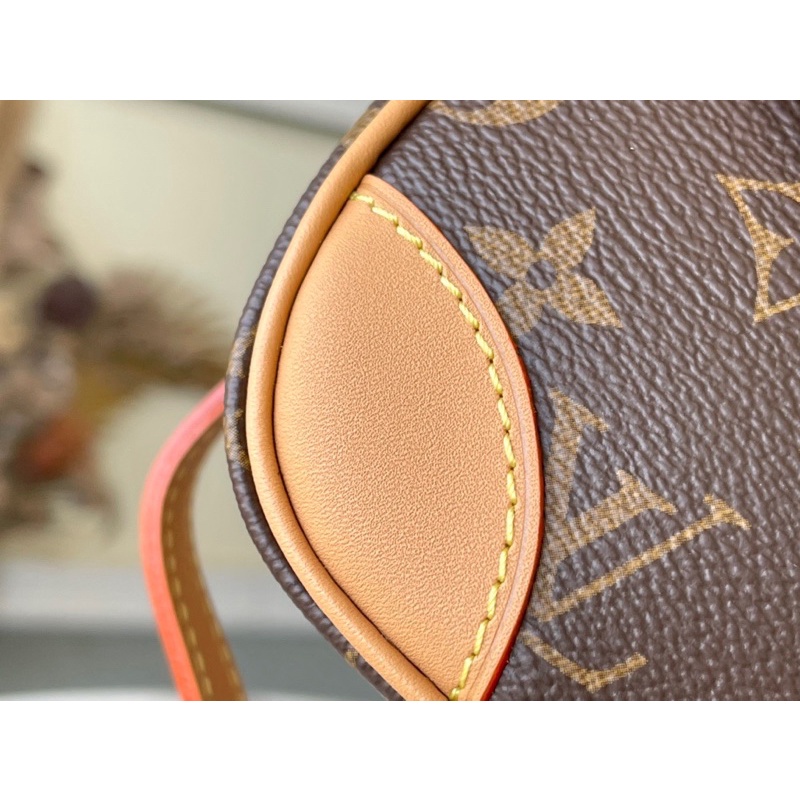 Túi đeo chéo nữ LOuis Vuitton LV Diane da thật cao cấp size 25