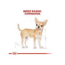 1.5kg(❁´◡`❁)ROYAL CANIN CHIHUAHUA ADULT Kích thích sự thèm ăn Hình dạng nhỏ gọn nhỏ gọn thích hợp cho hàm nhỏ.
