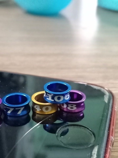 Nhẫn màu đeo chân chim vẹt