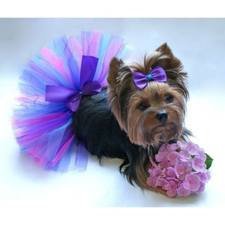 Váy Tutu / Váy Tutu Cho Thú Cưng