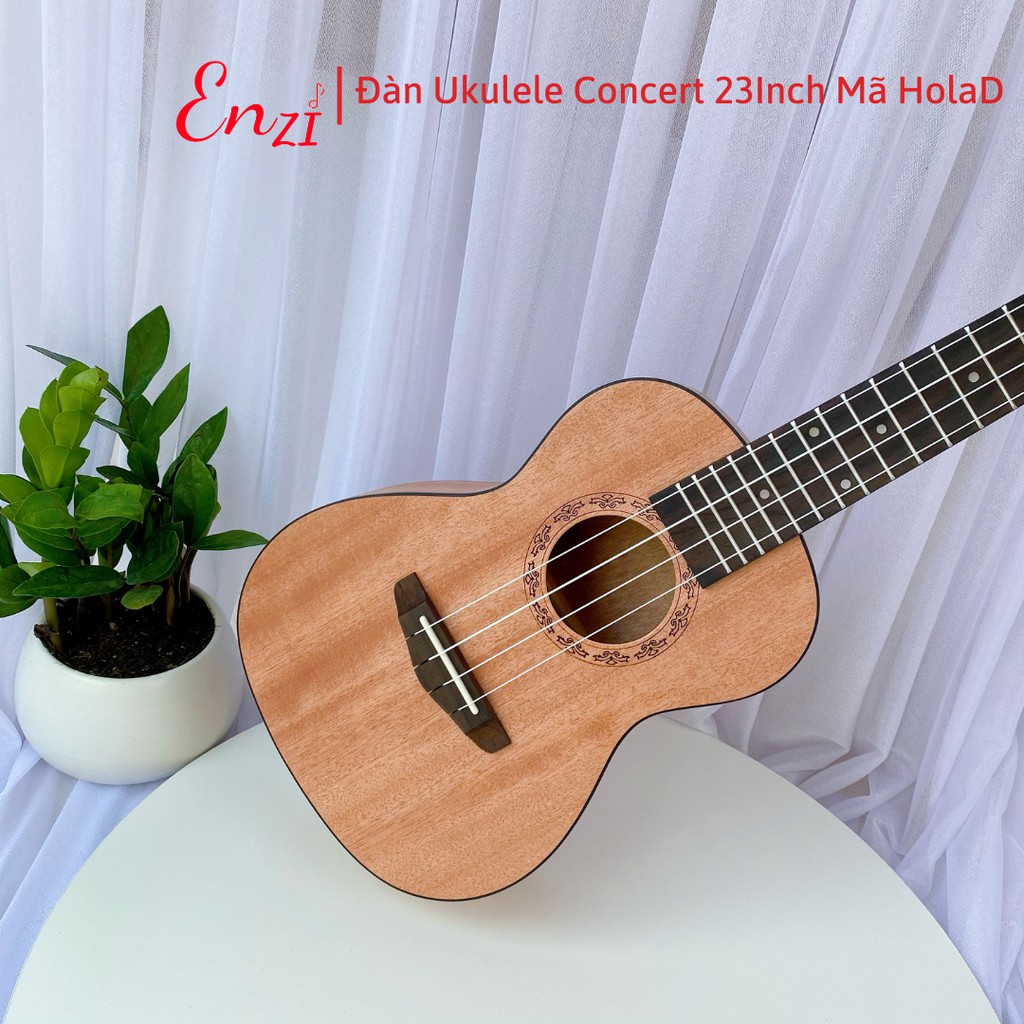 Đàn ukulele concert mã HolaD Enzi họa tiết nhí viền đen thiết kế khóa đúc cao cấp cho bạn mới bắt đầu tập chơi