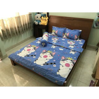 Bộ gra mền cotton poly 5 món cao cấp