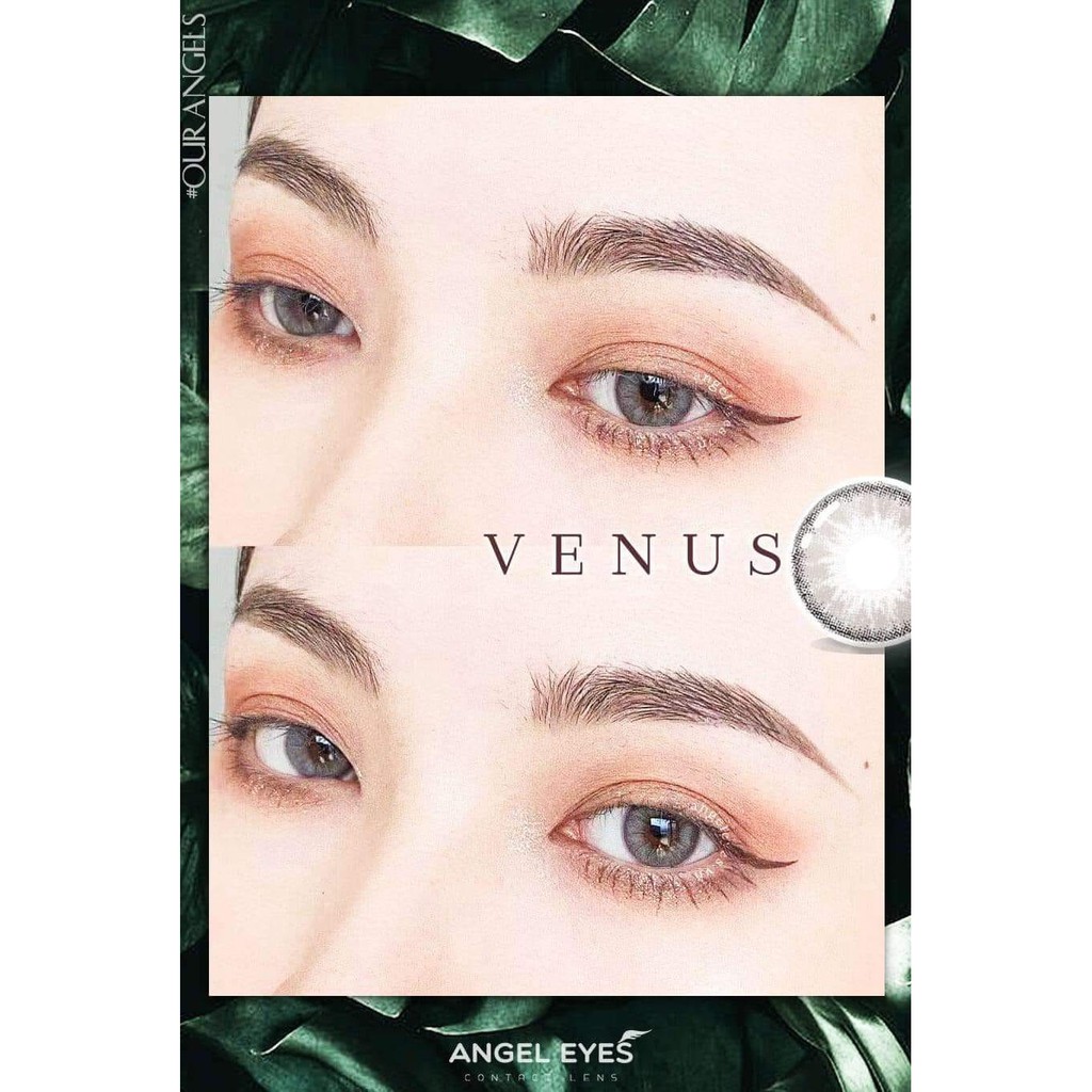 Lens xám tây Angel Eyes VENUS - Kính áp tròng xám tây Silicone Hydrogel 24H - Đường kính 14.2 - Không độ