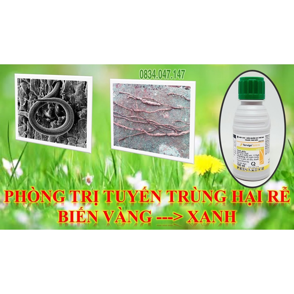 Tervigo 020SC - Thuốc Đặc Trị Tuyến Trùng Rễ Syngenta chai 100ml - VFC
