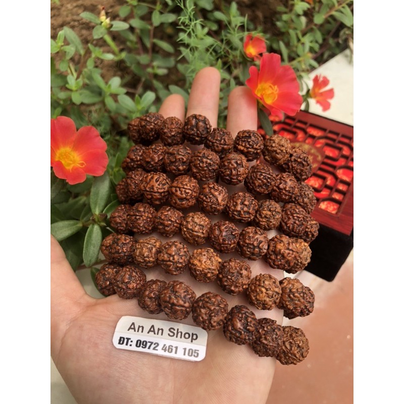 VÒNG TAY Chuỗi Tràng BỒ ĐỀ 10 ly- 21 hạt