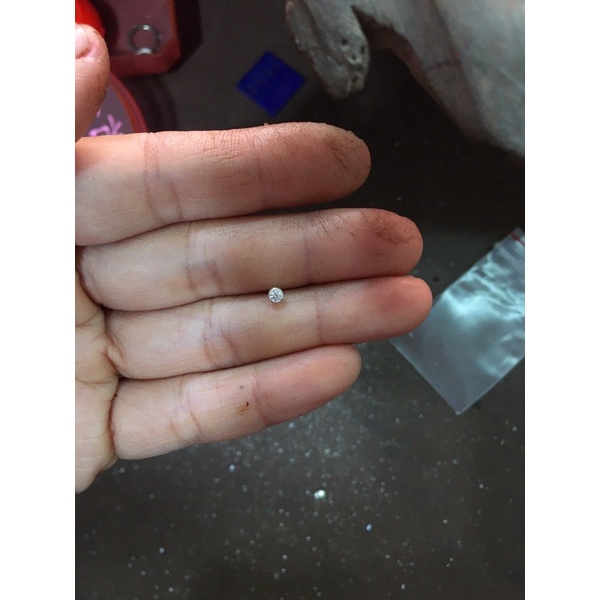 Khuyên mũi bạc ổ miết