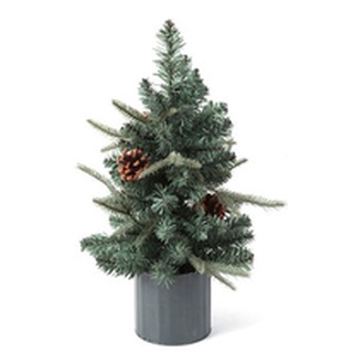 Cây thông Noel decor [cam, quế, thông sấy khô. dây đèn đom đóm]