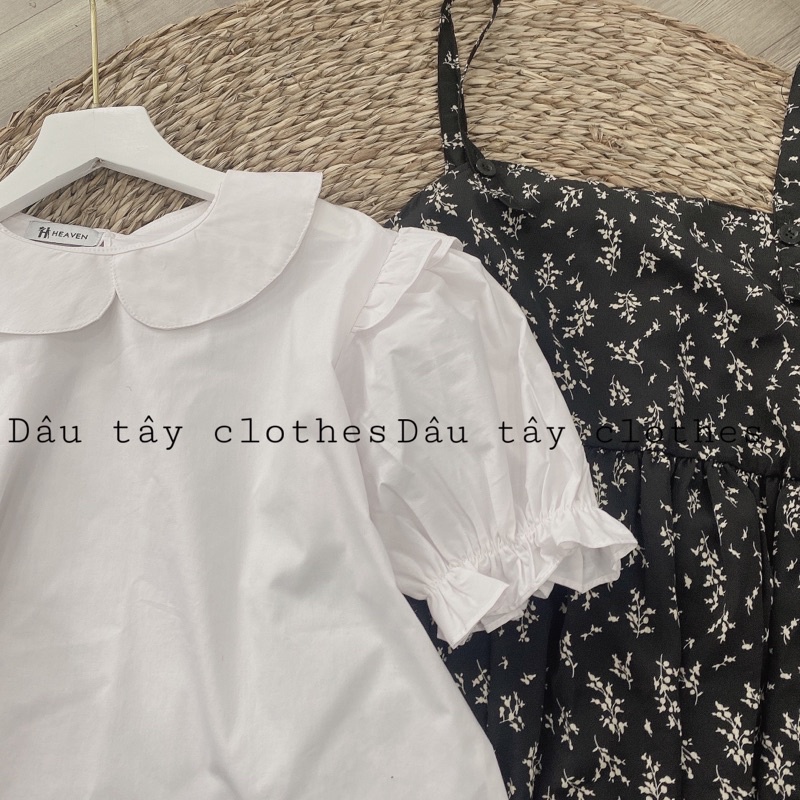 Set Váy Babydoll Hoa nhí (kèm ảnh thật) | BigBuy360 - bigbuy360.vn